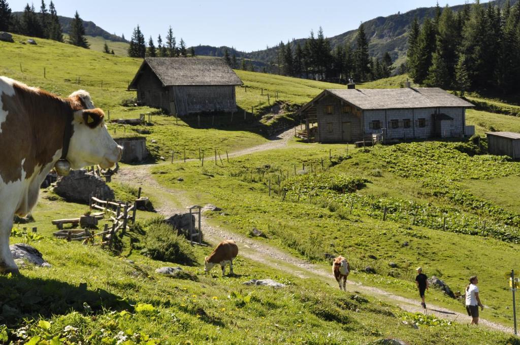 Landhaus Koller Gosau Buitenkant foto